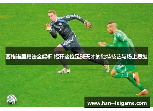 西格诺里踢法全解析 揭开这位足球天才的独特技艺与场上思维