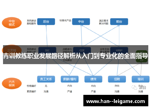 青训教练职业发展路径解析从入门到专业化的全面指导