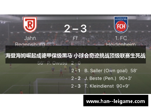 海登海姆崛起成德甲保级黑马 小球会奇迹挑战顶级联赛生死战 海登海姆崛起成德甲保级黑马 小球会奇迹挑战顶级联赛生死战