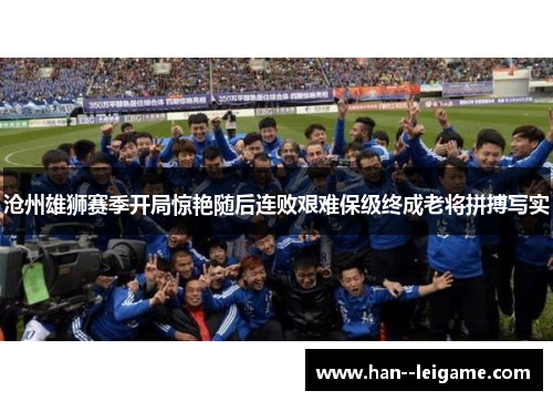 沧州雄狮赛季开局惊艳随后连败艰难保级终成老将拼搏写实